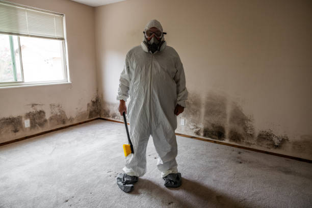 Best Mold Damage Repair  in White Horse, NJ